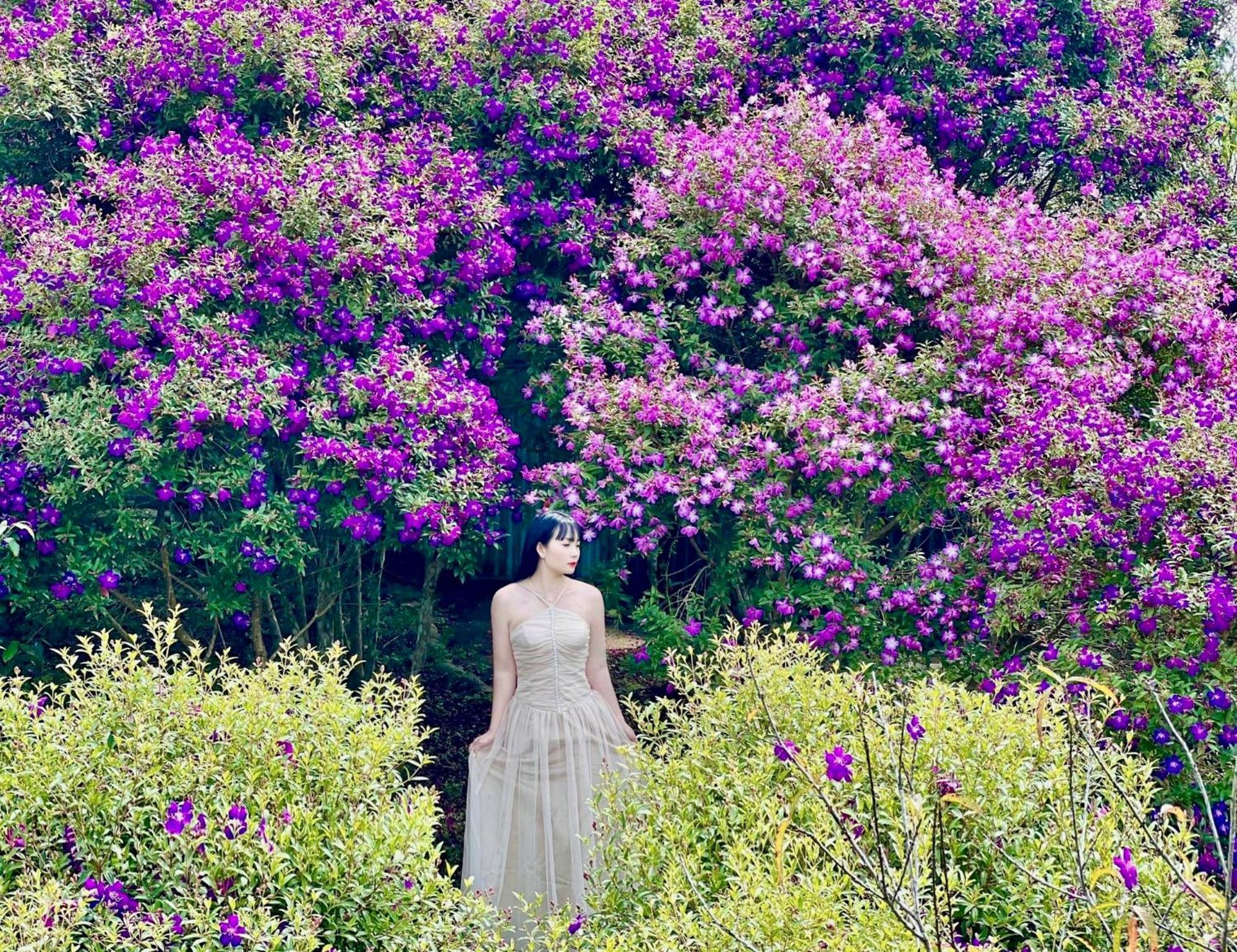 Khong Gian Van Hoa Tra Suoi Giang Nghia Lo Exteriér fotografie